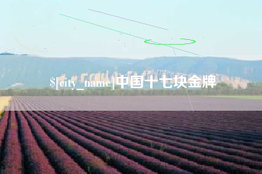 如皋中国十七块金牌