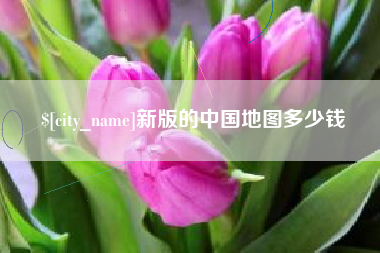 如皋新版的中国地图多少钱