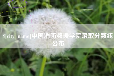 如皋中国消防救援学院录取分数线公布