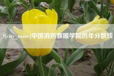 如皋中国消防救援学院历年分数线