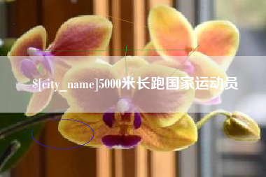 如皋5000米长跑国家运动员