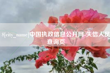 如皋中国执政信息公开网-失信人员查询页