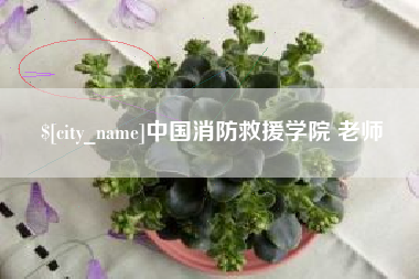 如皋中国消防救援学院 老师