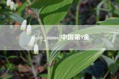 如皋中国第9金