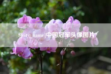 如皋中国冠军头像图片
