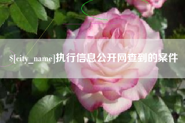 如皋执行信息公开网查到的案件