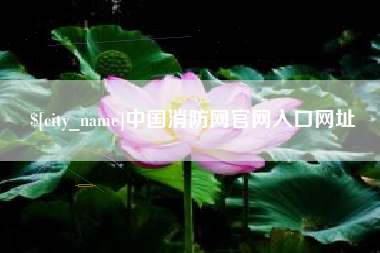 如皋中国消防网官网入口网址