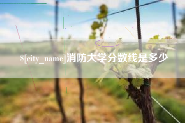 如皋消防大学分数线是多少