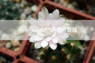如皋2021消防分数线