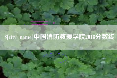 如皋中国消防救援学院2018分数线