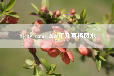 如皋2021年九宫格风水