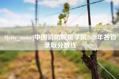 如皋中国消防救援学院2020年各省录取分数线