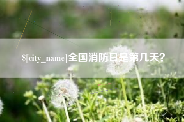 如皋全国消防日是第几天？