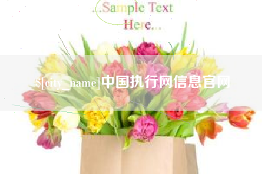 如皋中国执行网信息官网