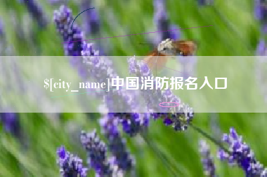 如皋中国消防报名入口
