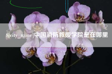 如皋中国消防救援学院是在哪里