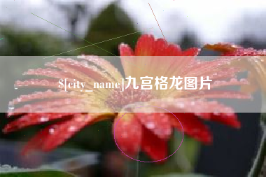 如皋九宫格龙图片