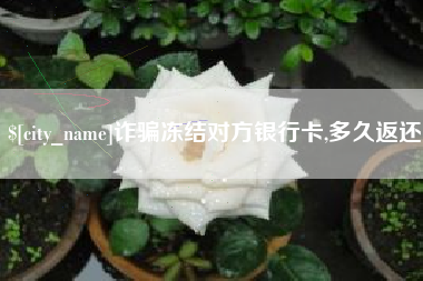 如皋诈骗冻结对方银行卡,多久返还