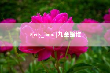 如皋九金是谁