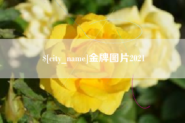 如皋金牌图片2021