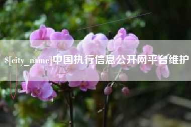如皋中国执行信息公开网平台维护