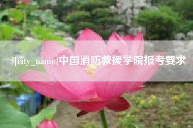 如皋中国消防救援学院报考要求