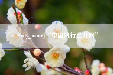 如皋“中国执行公开网”