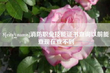 如皋消防职业技能证书查询以前能查现在查不到