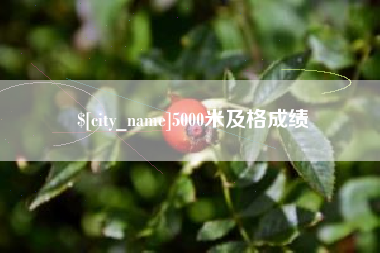 如皋5000米及格成绩