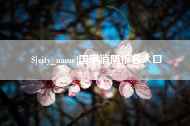 如皋国家消防报名入口