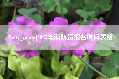 如皋2025年消防员报名时间表格