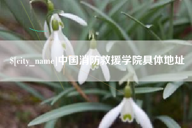 如皋中国消防救援学院具体地址
