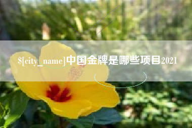 如皋中国金牌是哪些项目2021