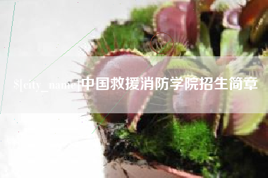 如皋中国救援消防学院招生简章