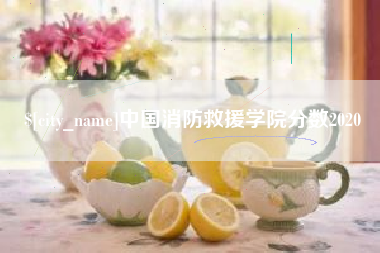 如皋中国消防救援学院分数2020