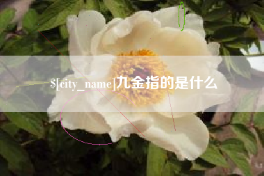 如皋九金指的是什么
