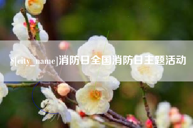 如皋消防日全国消防日主题活动