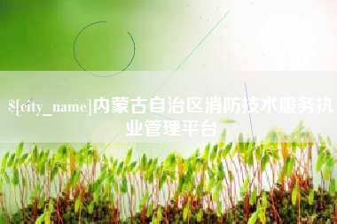 如皋内蒙古自治区消防技术服务执业管理平台