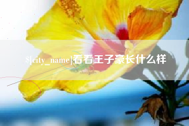 如皋看看王子豪长什么样