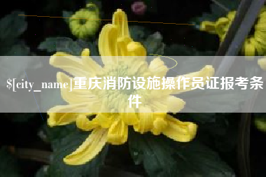 如皋重庆消防设施操作员证报考条件