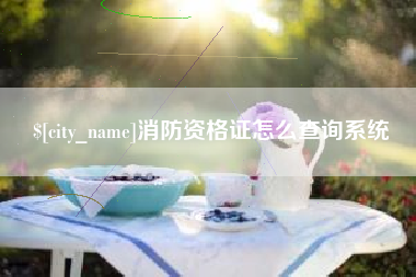 如皋消防资格证怎么查询系统