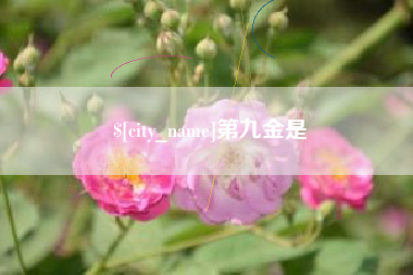 如皋第九金是