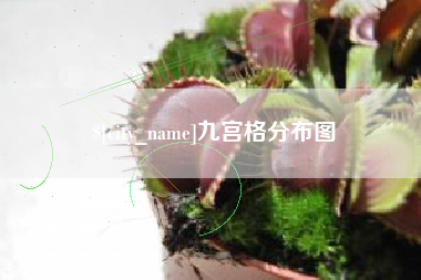 如皋九宫格分布图
