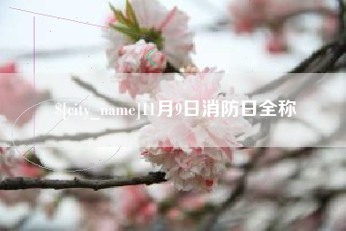 如皋11月9日消防日全称