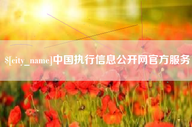 如皋中国执行信息公开网官方服务