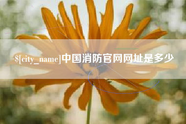如皋中国消防官网网址是多少