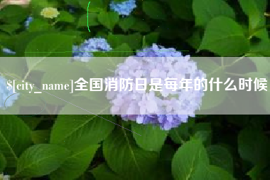如皋全国消防日是每年的什么时候