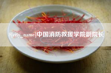 如皋中国消防救援学院副院长