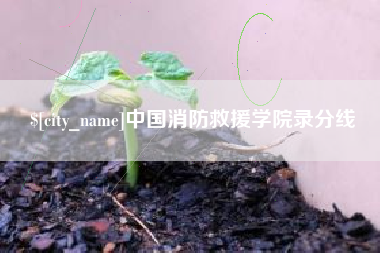 如皋中国消防救援学院录分线