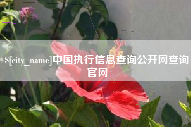 如皋中国执行信息查询公开网查询官网